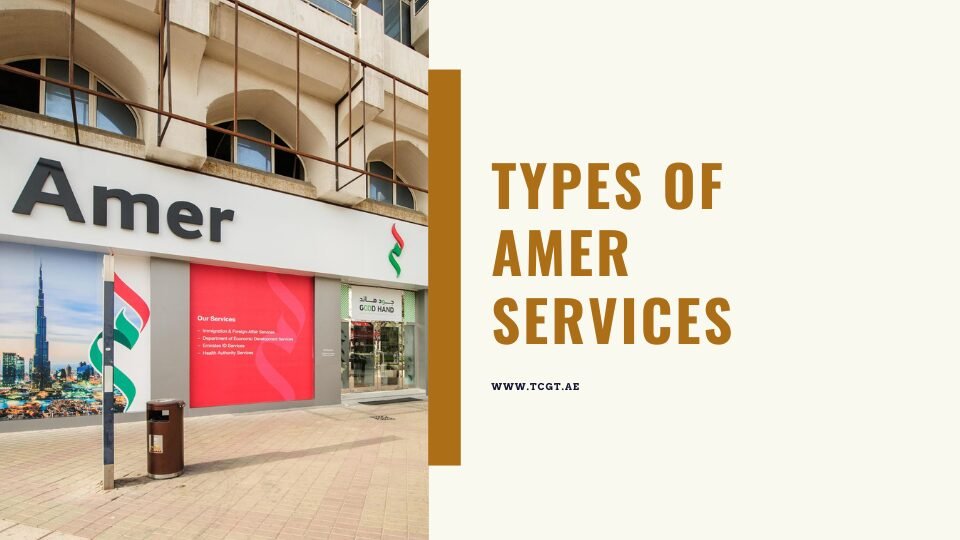 Types of Amer Services: Visa, Emirates ID & Business Setup Guide